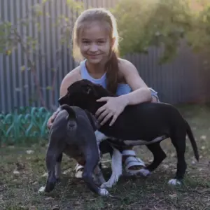 Ориентированные на человека