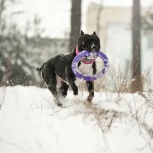 Универсальные спортсмены