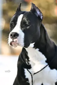 IMG_7638