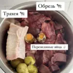 Чем кормить амстаффа — рацион по возрасту от заводчика