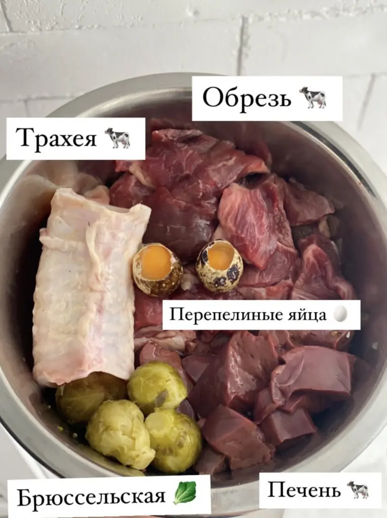 Чем кормить амстаффа — рацион по возрасту от заводчика