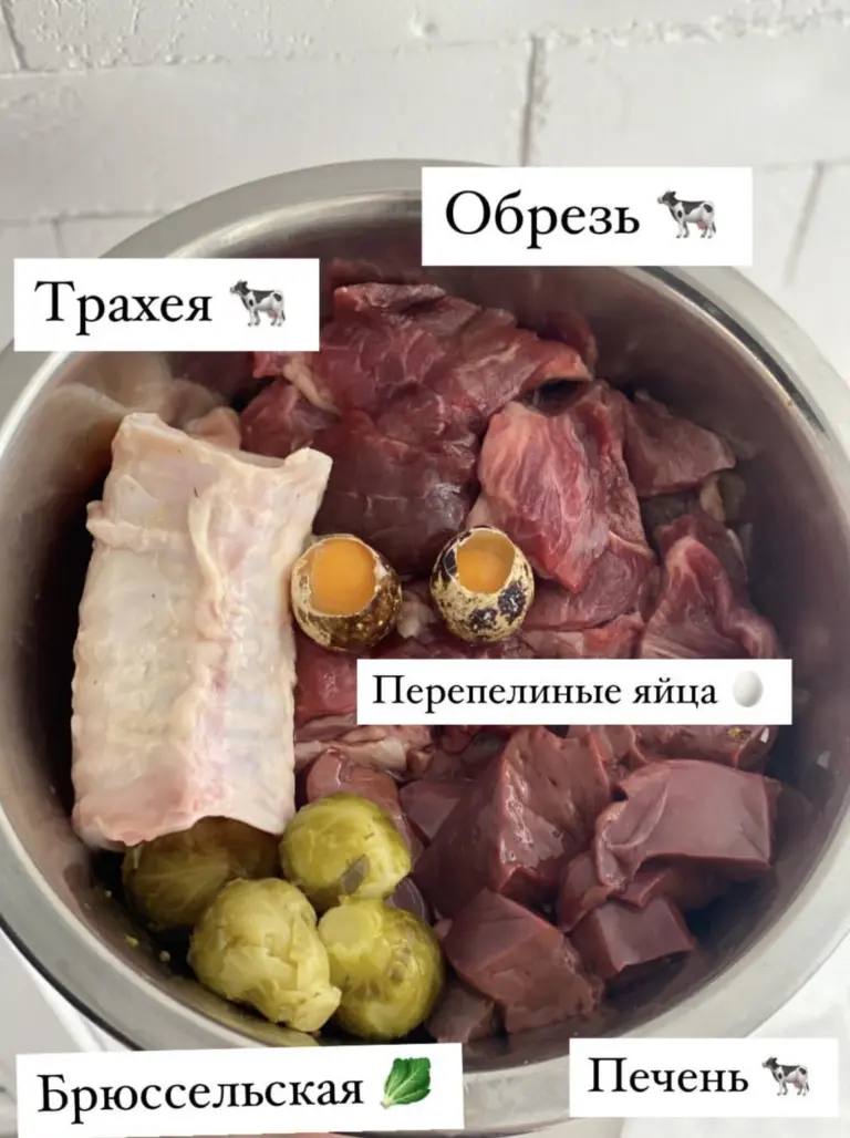 Чем кормить амстаффа — рацион по возрасту от заводчика