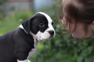 IMG_5700