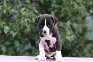 IMG_5834