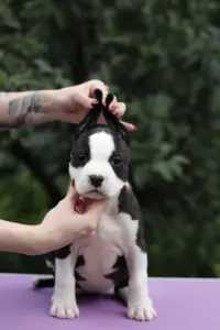 IMG_5902
