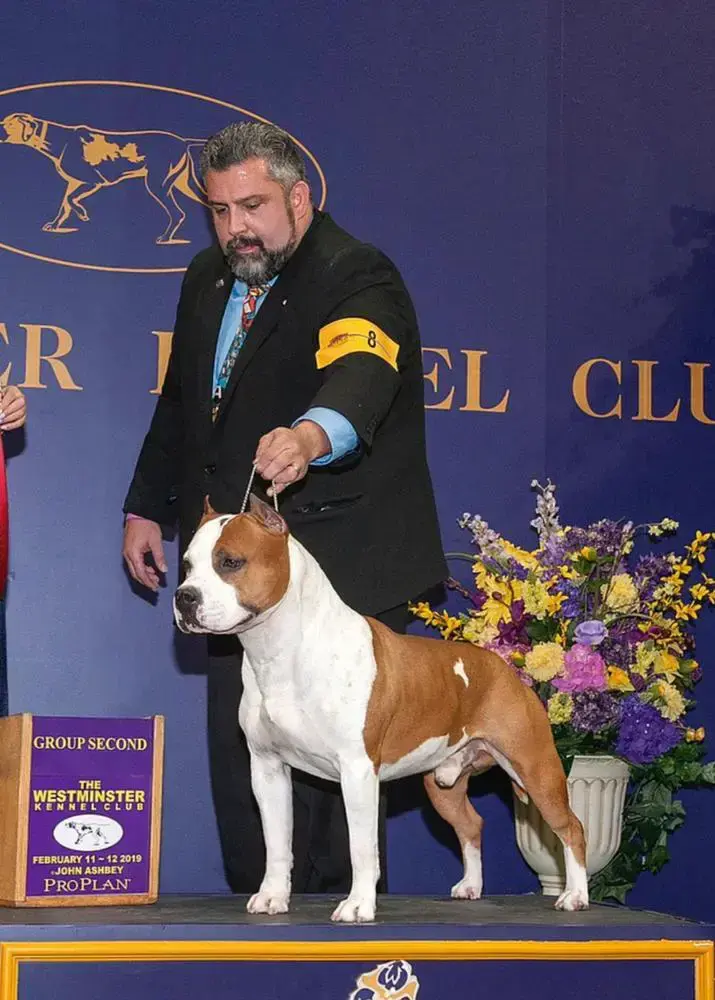 MBIS MBISS GCH Alpine's LBK Living on the road DS CGC TKN AD