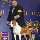 MBIS MBISS GCH Alpine's LBK Living on the road DS CGC TKN AD